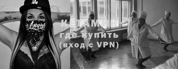 сатива Беломорск