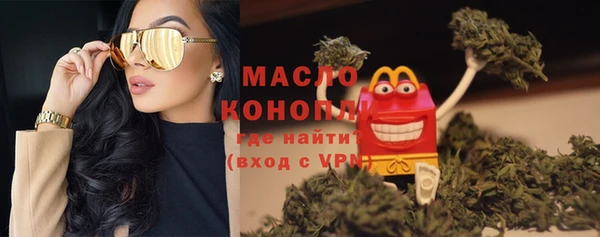 сатива Беломорск
