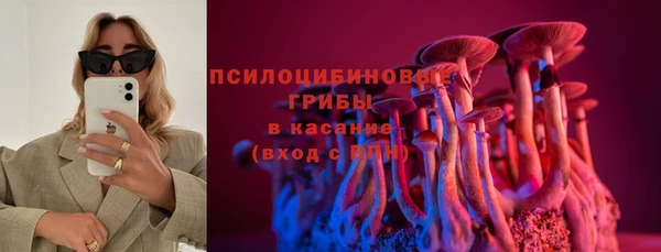 гидра Белоозёрский