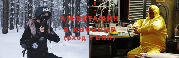 сатива Беломорск