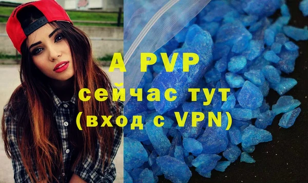 гидра Белоозёрский