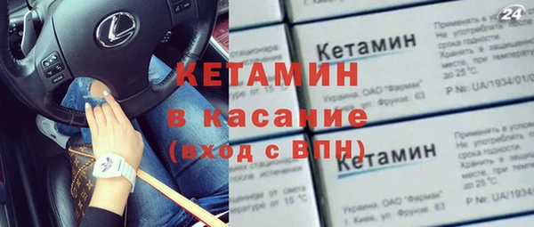 сатива Беломорск