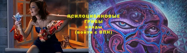 Альфа ПВП Белокуриха